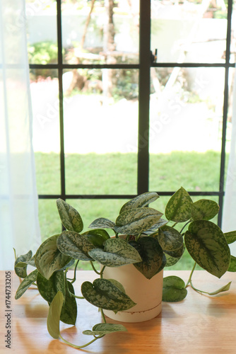 architecture, background, banquet, bright, bright interior, bright room, cafe, chair, circle, coffee, coffee time, cozy atmosphere, cozy home, decor, decoration, design, dining room, eco home, eleganc