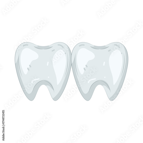 Illustration of Two Human Teeth 