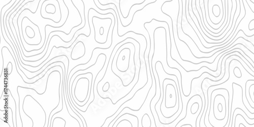 white topography map geography relief diagram texture design. Topography white background and black line world map texture design. Lines Topographic contour lines grid map seamless pattern.	
