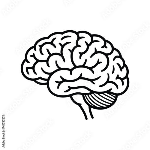 Stylized outline of a human brain in profile