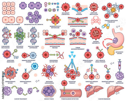 Cancer biology explores tumor growth, metastasis, and genetic mutations, key objects, DNA, cancer cells, organs, transparent background. Outline style worksheet collection