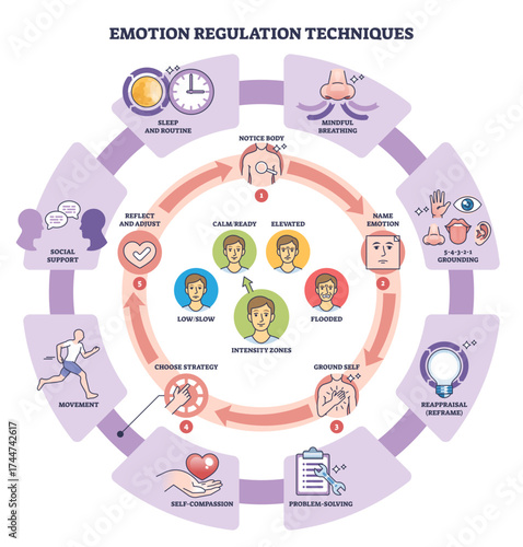 Emotion regulation techniques are shown with a circular diagram, highlighting calm-ready, elevated, and flooded zones with icons for breathing, heart, and brain, transparent background.