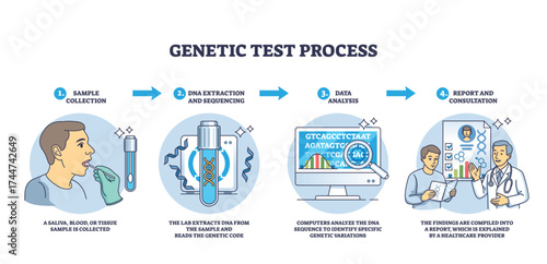 Genetic test process shows sample collection, DNA extraction, and data analysis steps with clear icons, transparent background.
