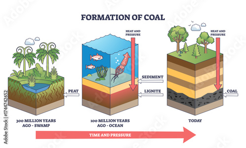 Formation of coal shows stages from swamp to coal with peat, sediment, and pressure layers, transparent background.