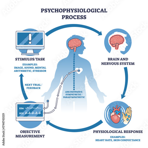 Psychophysiological process shows how a stimulus affects the brain, body, and is measured objectively, transparent background.Key objects, brain, human body, monitor.