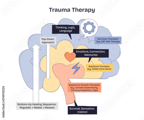 Trauma therapy is illustrated with a brain, heart, and arrows showing top-down and bottom-up approaches, transparent background. Doodle style diagram