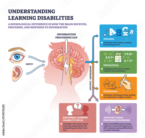 Understanding learning disabilities shows how brain processing gaps affect reading, math, and writing, transparent background.Key objects, brain, arrows, icons.