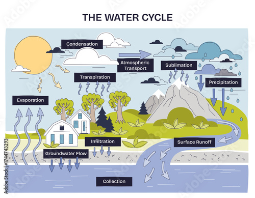 The water cycle shows evaporation, condensation, and precipitation as key stages in a simple landscape, transparent background. Doodle style diagram