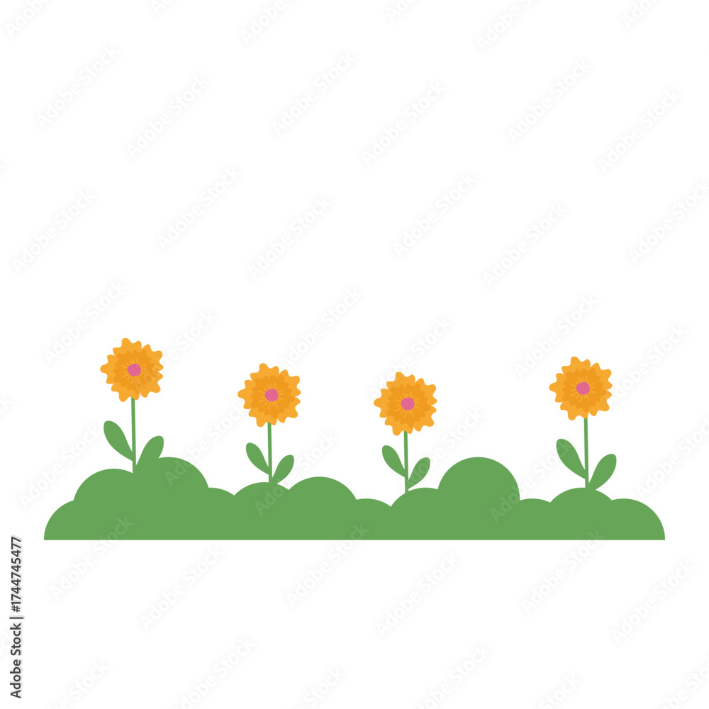 Fototapeta premium Nature Grass Decoration