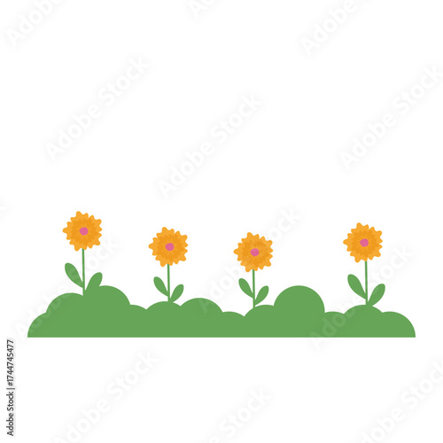 Nature Grass Decoration