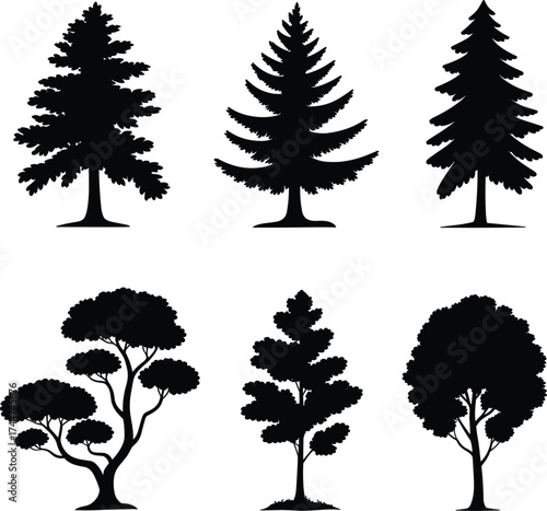 Collection of six different tree silhouettes nature forest