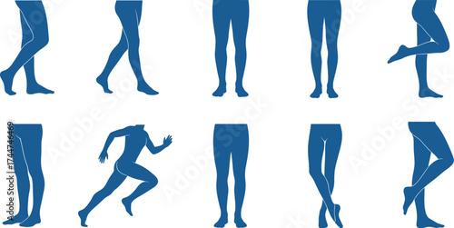 Human legs anatomy vector illustration graphic design art