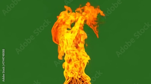 A mesmerizing display of fire dances against a green screen, showcasing the raw power and beauty of flames in a captivating visual