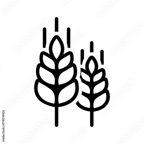 Vector black line icon for Wheat