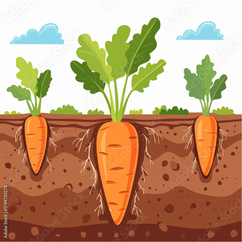 Vegetable roots in soil, underground. Flat vector illustration isolated on white background