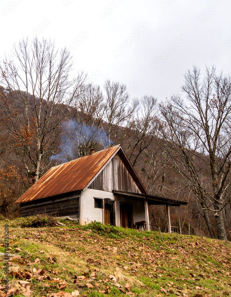 Fototapeta premium Isolated wooden cabin nestled on a hillside with rusty roof
