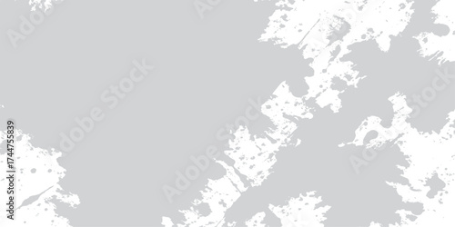 Wallpaper Mural Black paint splatter on a gray grungy wallpaper with a floral pattern creates a vintage grunge texture border illustration Torontodigital.ca