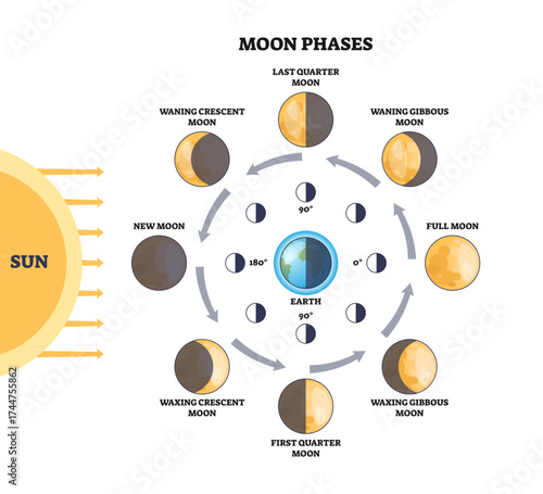 Moon phases are shown in a circular outline with the Sun, Earth, and eight labeled moon phases, transparent background.