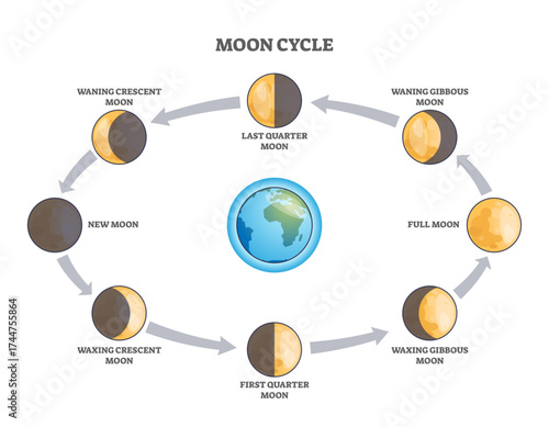 Moon cycle diagram shows the phases of the moon orbiting Earth, highlighting new moon, full moon, and crescent phases, transparent background.