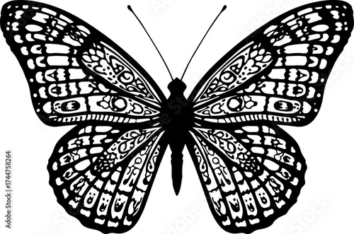 butterfly on white background, butterfly, insect, nature, fly, wing, beauty, wings, animal, bug, vector, moth, swallowtail, illustration, summer, macro, butterflies, design, black, spring, flower, col