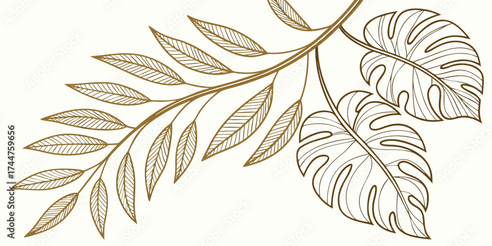 Fototapeta premium Elegant Branch With Delicate Leaves and Monstera Foliage Outline Design
