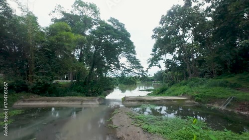 Serene Tropical River Flowing Through Lush Green Forest