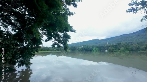 Tranquil Lake and Mountain Landscape with Overhanging Green Trees