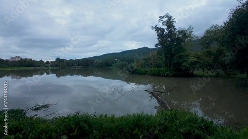 Tranquil Lakeside Reflection on an Overcast Day