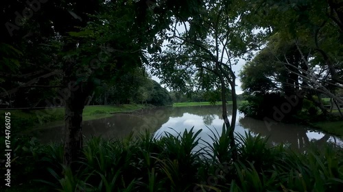 Serene Woodland Pond Reflection on Overcast Day