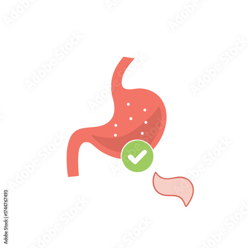 Stomach in good condition.good stomach health.digestive system is ok. Tick. Approved.Healthy stomach. Good digestion icon or improve digestive tract system symbol. gut or stomach care vector.

