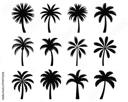 Coconut Palm Trees Silhouette Pack – Summer Island Design