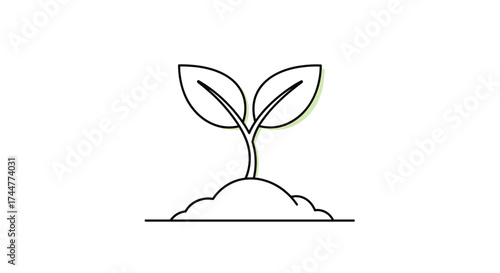 Seedling growing in soil with two leaves and outlined stem.