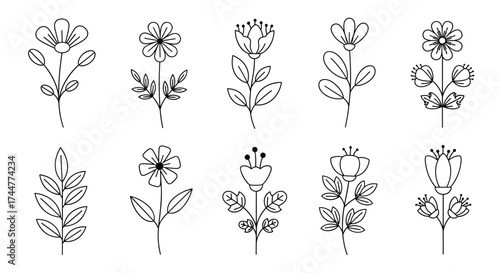 A collection of ten small floral illustrations with delicate stems and leaves.