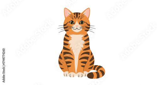 An adorable orange tabby cat sitting attentively looking directly at the viewer.