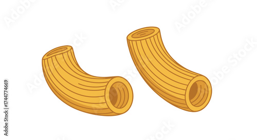 Two pieces of elbow macaroni pasta on a white background.