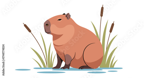 A large rodent sits peacefully in the shallow water surrounded by reeds.