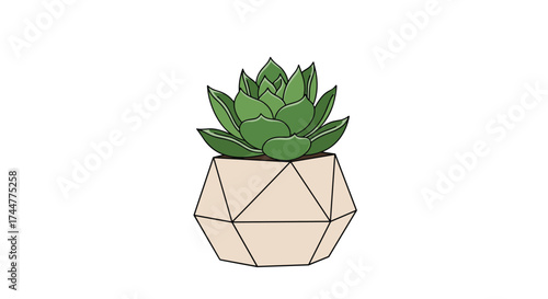 A stylized green succulent plant grows in a modern geometric pot.
