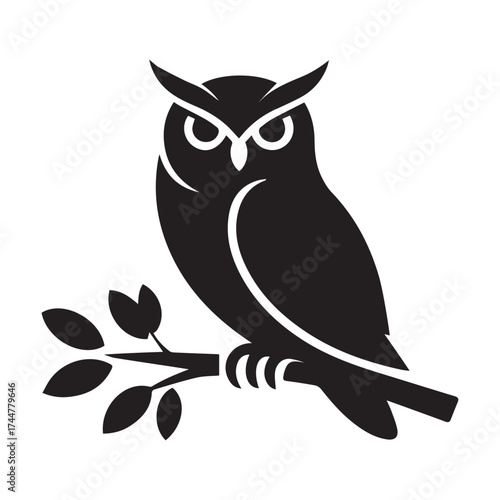 owl sitting on branch