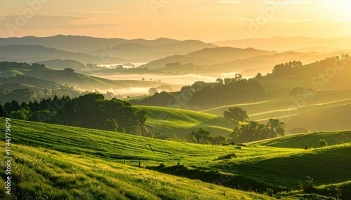 Sunlit Vineyards and Misty Hills at Sunrise in Tuscany Italy with Golden Light and Rolling Green Landscape Under a Bright Sky Beautiful Scenic View