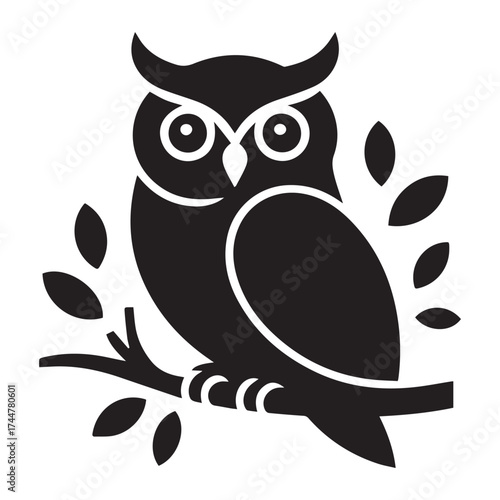 owl on branch