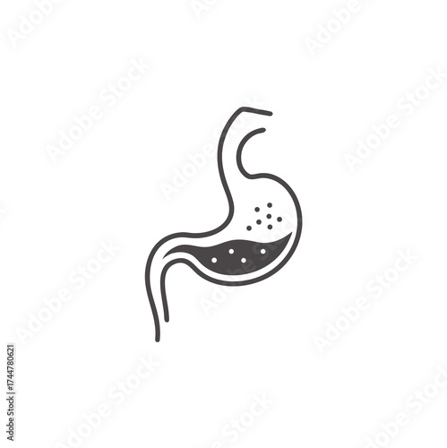 Stomach icon. Human internal organ. Simple flat icon vector. Human digestive organ.

