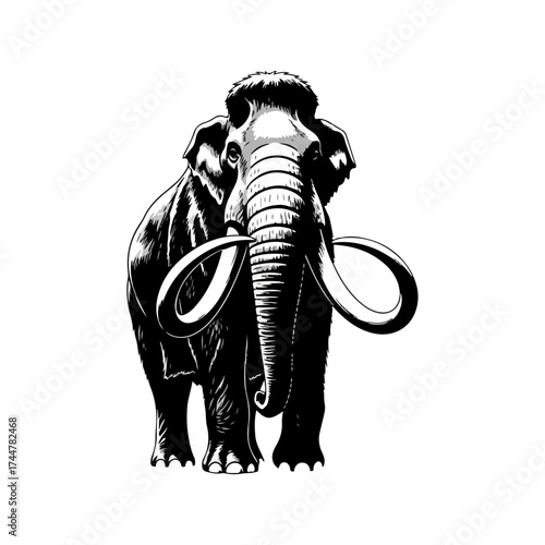 Woolly mammoth standing, detailed illustration on white background