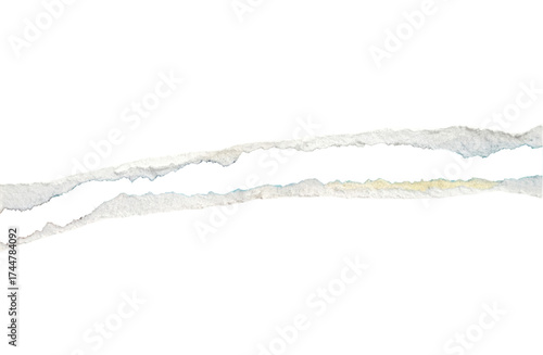 paper ripped line in centre isolated on transparent png