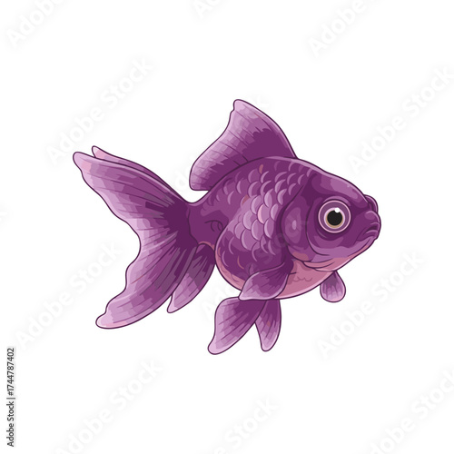 Goldfish with a white background
