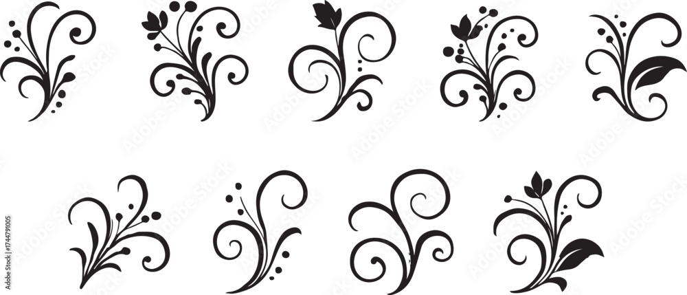 Fototapeta premium Collection of Black Floral Swirl Ornaments