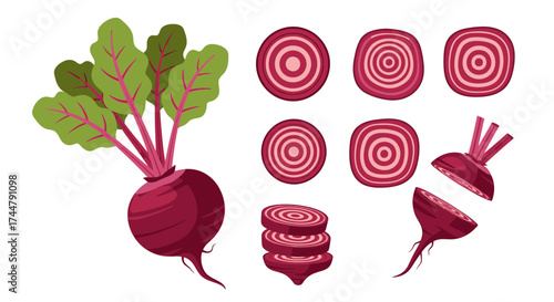 Illustration of a whole beetroot with leaves, alongside various sliced beetroot pieces in circular and square shapes.