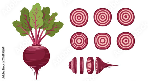 Illustration of a whole beetroot with leaves and several beetroot slices, showcasing the vegetable's internal rings and different cut shapes.