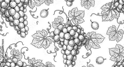 A seamless pattern with detailed hand-drawn illustrations of grape bunches, leaves, and vines in a black and white vintage style.