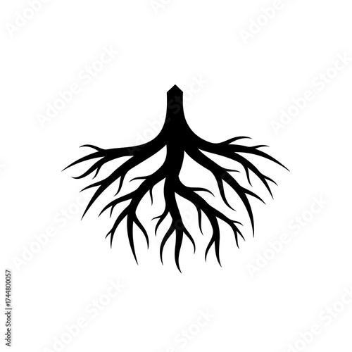 Tree Roots Spreading Downwards Silhouette Illustration for Nature and Botanical Design