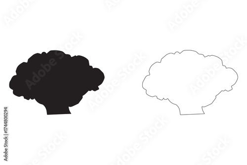 Simple broccoli vector outline and silhouette graphic element for culinary and healthy eating designs emphasizing vegetarian diets and vegetable illustrations